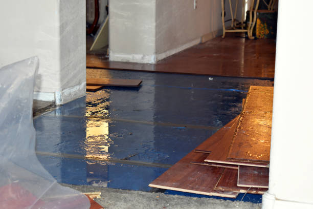 Professional Water Extraction technician working in Raymond, IL